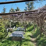 Apartamento Rosadimaggio Violetta Arcola
