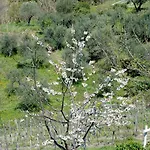 Apartamento Rosadimaggio Violetta *