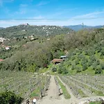 Rosadimaggio Violetta Arcola