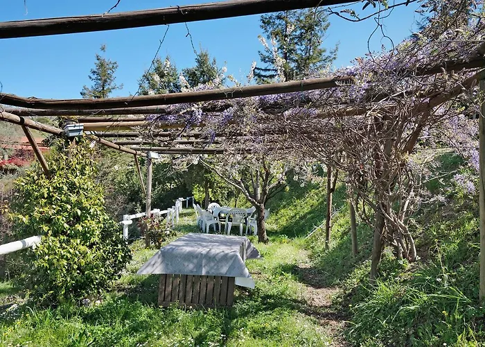 Lejlighed Rosadimaggio Violetta Arcola