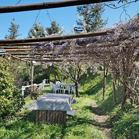 Appartamento Rosadimaggio Violetta Arcola