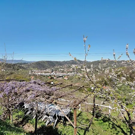 Rosadimaggio Violetta * Arcola