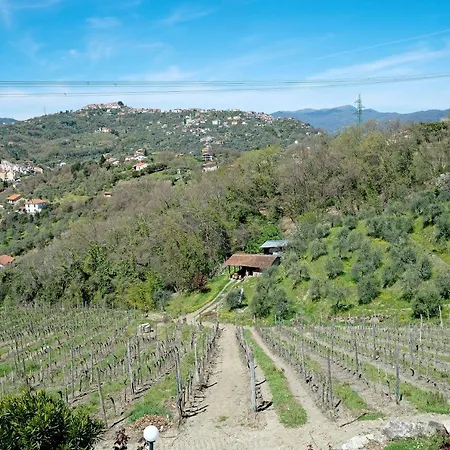 Rosadimaggio Violetta Appartamento *