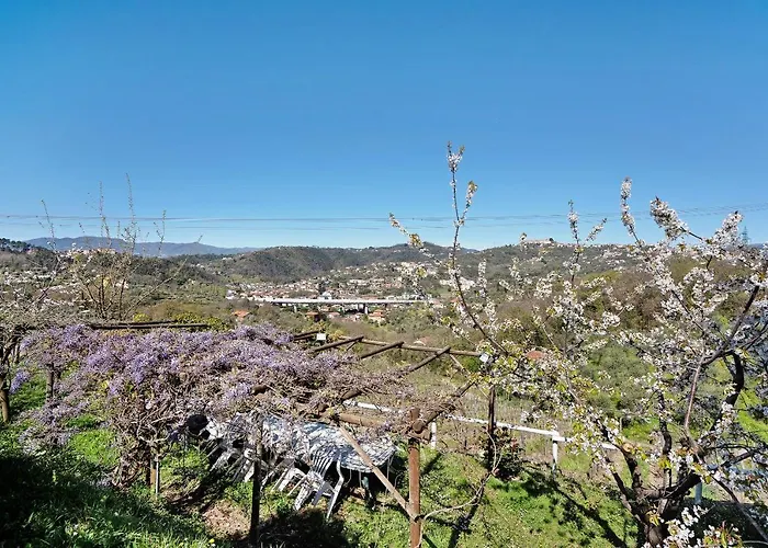 Rosadimaggio Violetta * 아르콜라