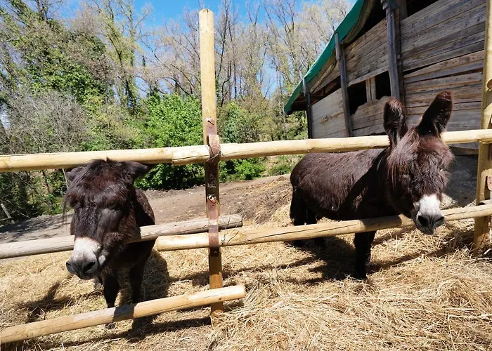 Rosadimaggio Violetta *